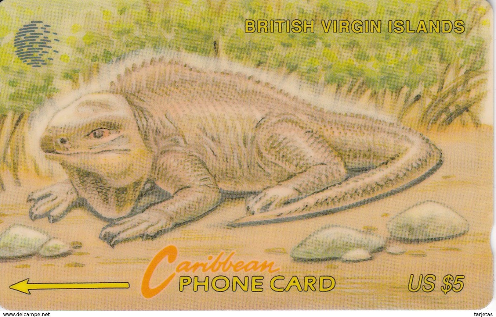 TARJETA DE BRITISH VIRGIN ISLANDS  DE UNA IGUANA 21CBVB - Vierges (îles)