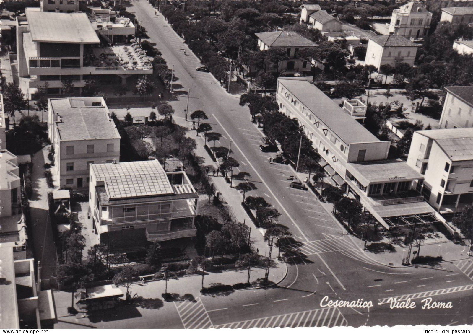 Cartolina Cesenatico ( Cesena ) Viale Roma - Cesena