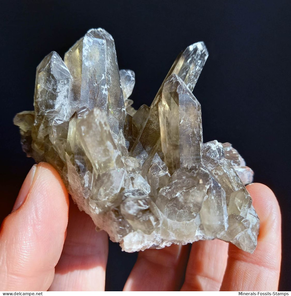 #XX28 - Beaux Cristaux De QUARTZ Fumés (Siberian Ural Mountains, Russie) - Minéraux