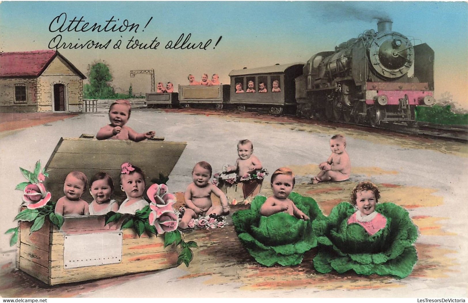 FANTAISIES - Attention! Arrivons à Toute Allure! Des Bébé Dans Des Choux - Colorisé - Carte Postale Ancienne - Babies