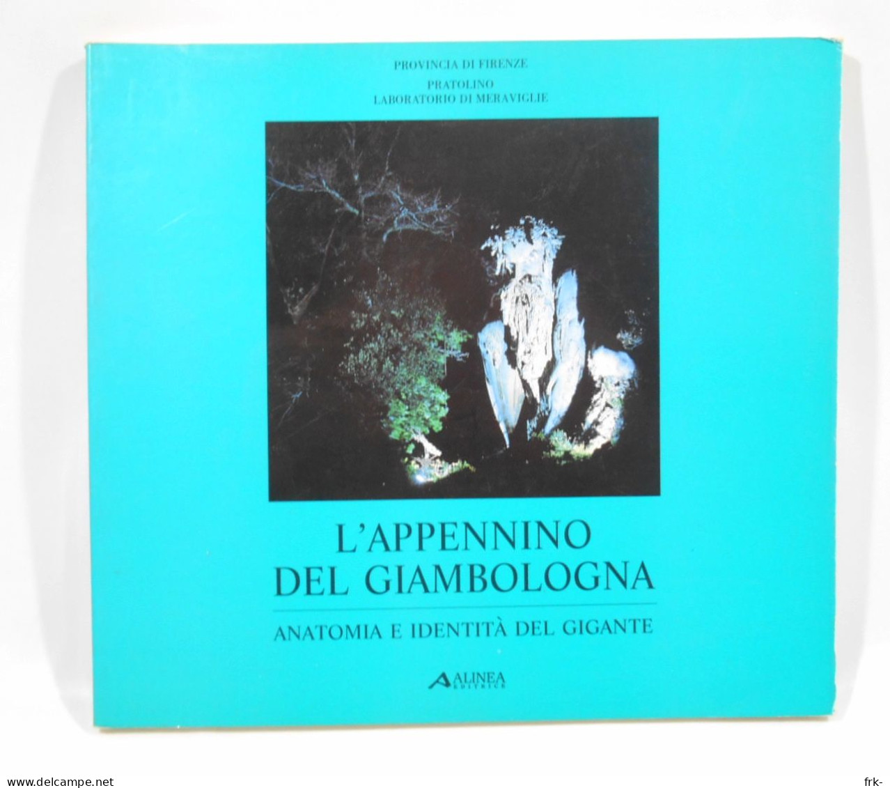 L Appennino Del Giambologna Ed. Alinea 1990 - Arte, Antigüedades