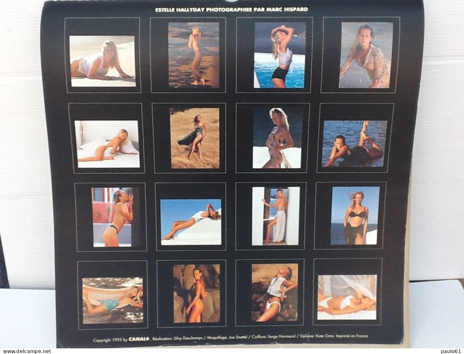 Calendrier 1994 ESTELLE HALLYDAY Dedicassée - Groot Formaat: 1991-00