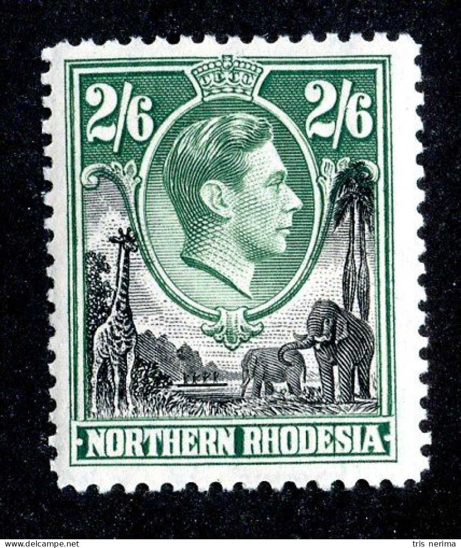862 BCXX 1938 Northern Rhodesia Scott #41 MLH* (offers Welcome) - Rhodésie Du Nord (...-1963)