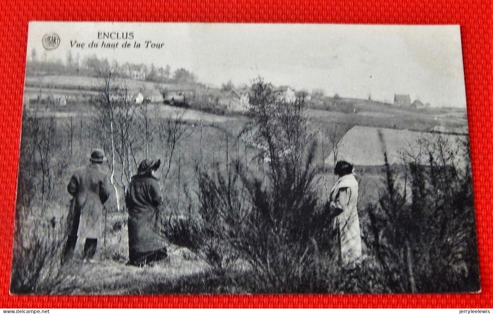 MONT DE L'ENCLUS  -  KLUISBERG -  Vue Du Haut De La Tour  -  1923 - Mont-de-l'Enclus