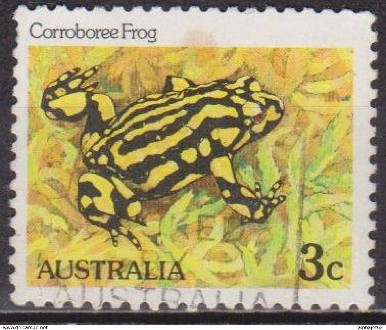 Grenouille, Batraciens - AUSTRALIE - Faune - N° 767 - 1982 - Usati