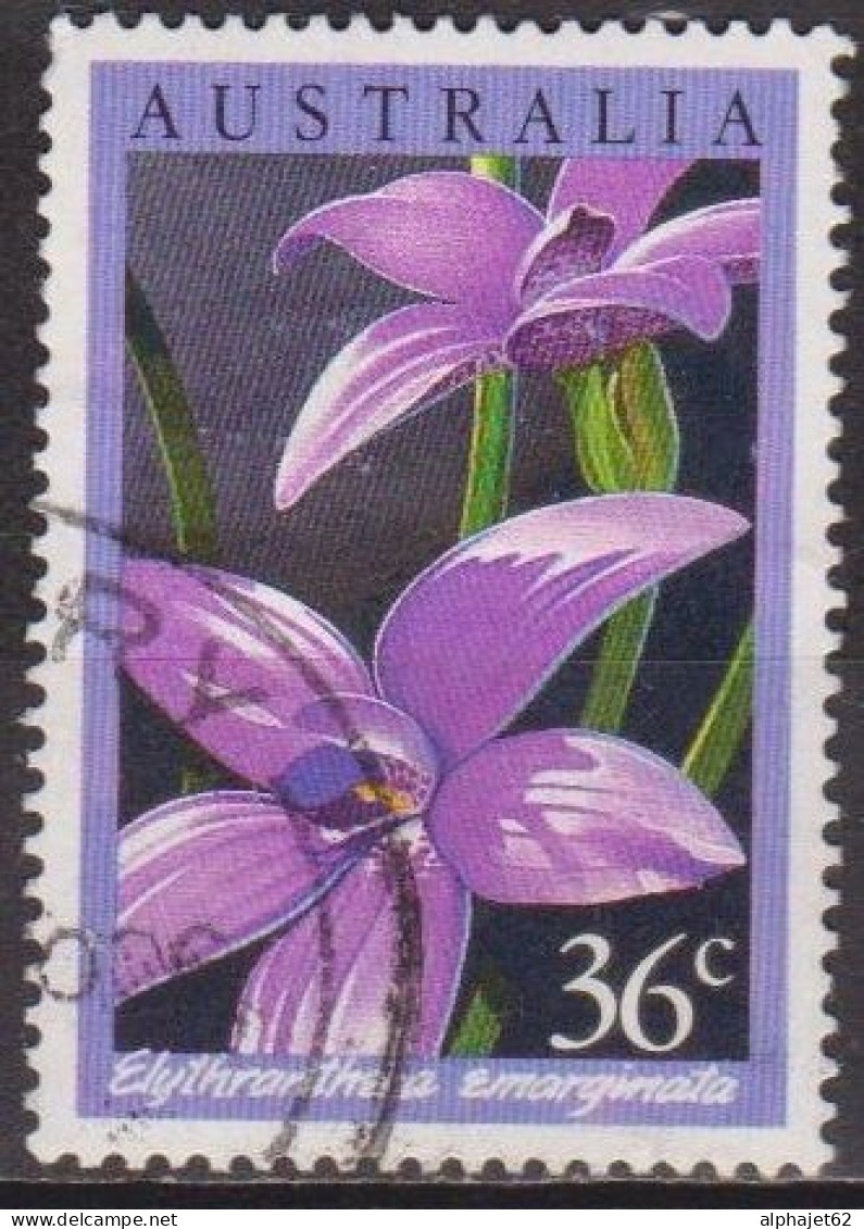 Fleurs, Orchidées - AUSTRALIE - Flore - N° 973 - 1986 - Used Stamps