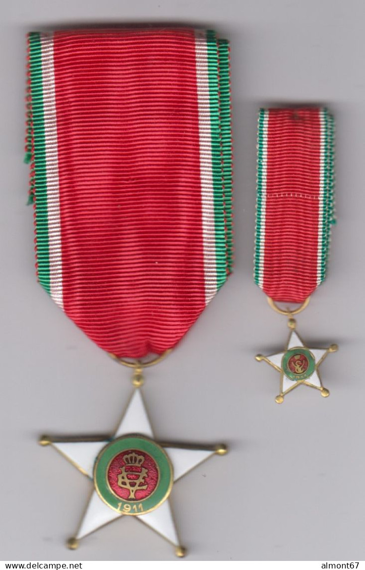 Italie - Médaille Ordre De L'Etoile Coloniale Et Sa Réduction - Italia