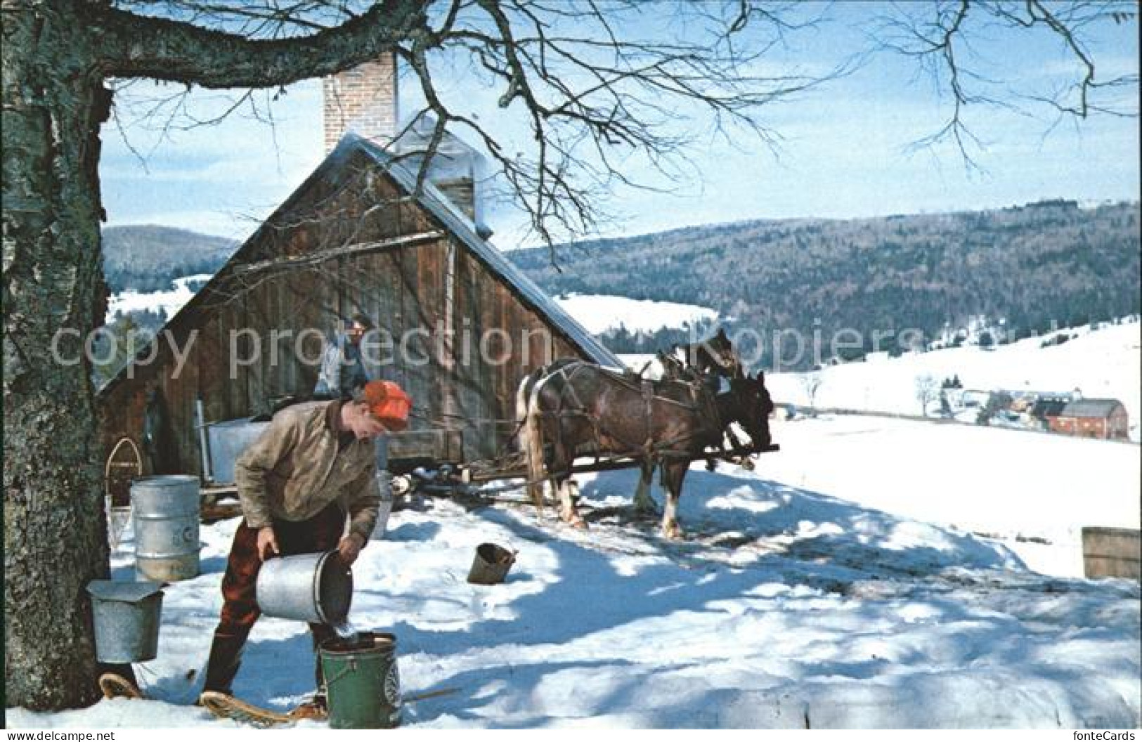 11693139 Vermont_US-State Maple Sugar Time Bauer Pferde Im Schnee - Other & Unclassified