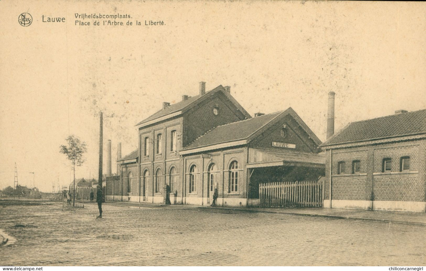 * LAUWE VRIJHEIDSBOOMPLAATS - Place De L'Arbre De La Liberté - Statie - Gare - Uitg. DELTOUR VANDER KAM - NELS - Menen