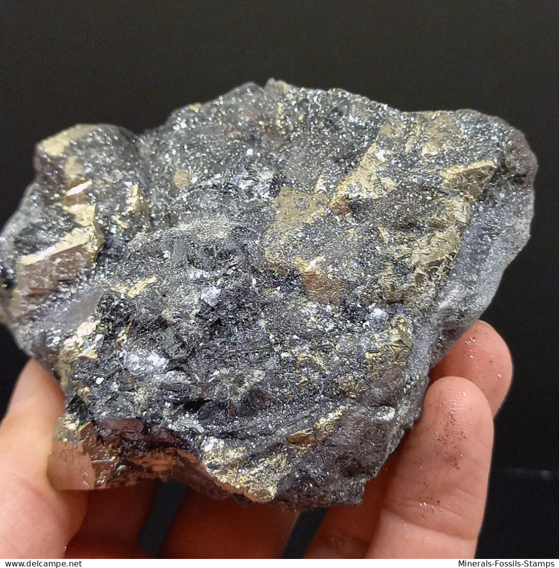 #SC10-20 PIRITE Cristallo Pentagono Dodecaedrici Su Ematite (Is. Elba, Italia) - Minéraux