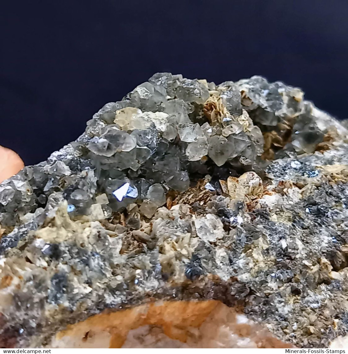 #SC19-18 Rare Bleu-gris Clair QUARTZ Cristaux 'beta' Avec 'roses' De Barytine (Italie) - Minéraux