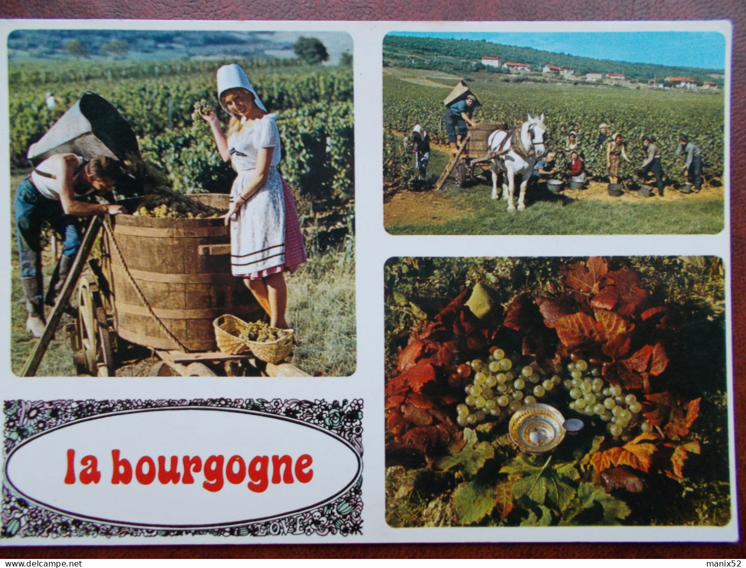 BOURGOGNE - Multivues Sur Les Vendanges - Bourgogne