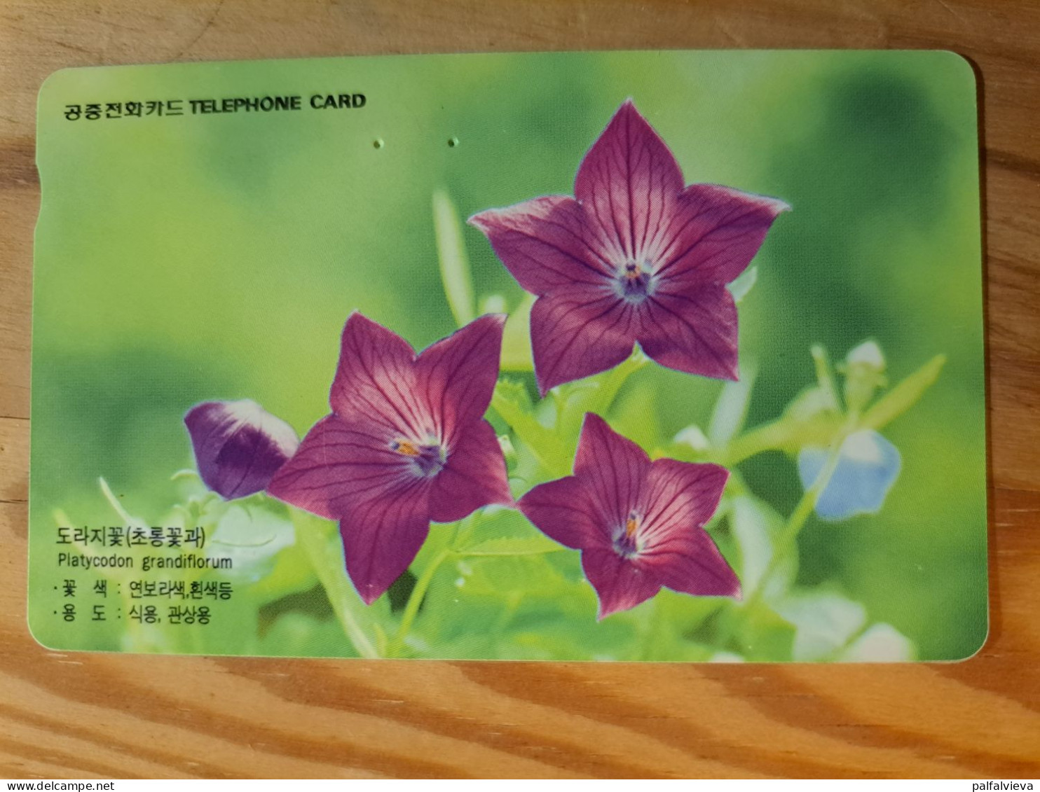 Phonecard South Korea - Flower - Corea Del Sud