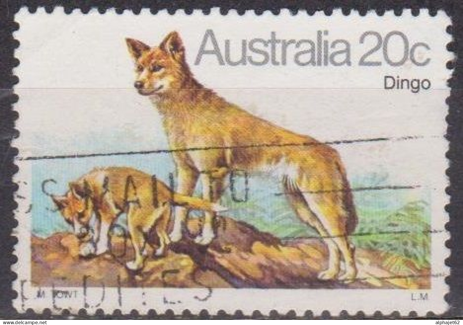 Faune - AUSTRALIE - Dingo, Chien Sauvage - N° 689 - 1980 - Usati