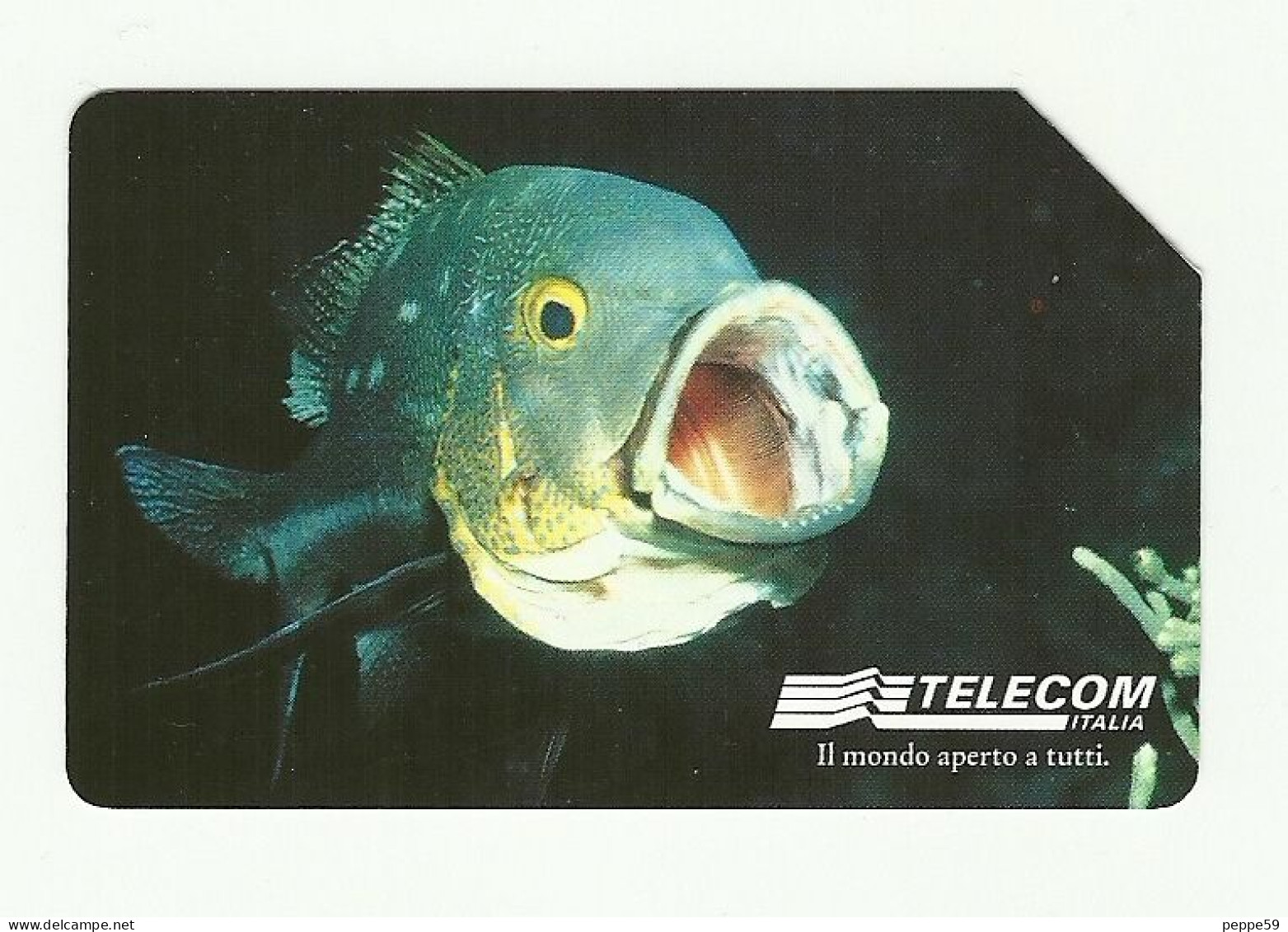 1039 Golden - Animali Per Modo Di Dire - Pesce Da Lire 15.000 Telecom - Públicas  Publicitarias