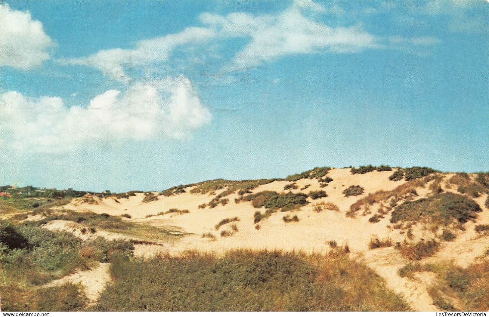 BELGIQUE - Belle Dune - Carte Postale - Andere & Zonder Classificatie