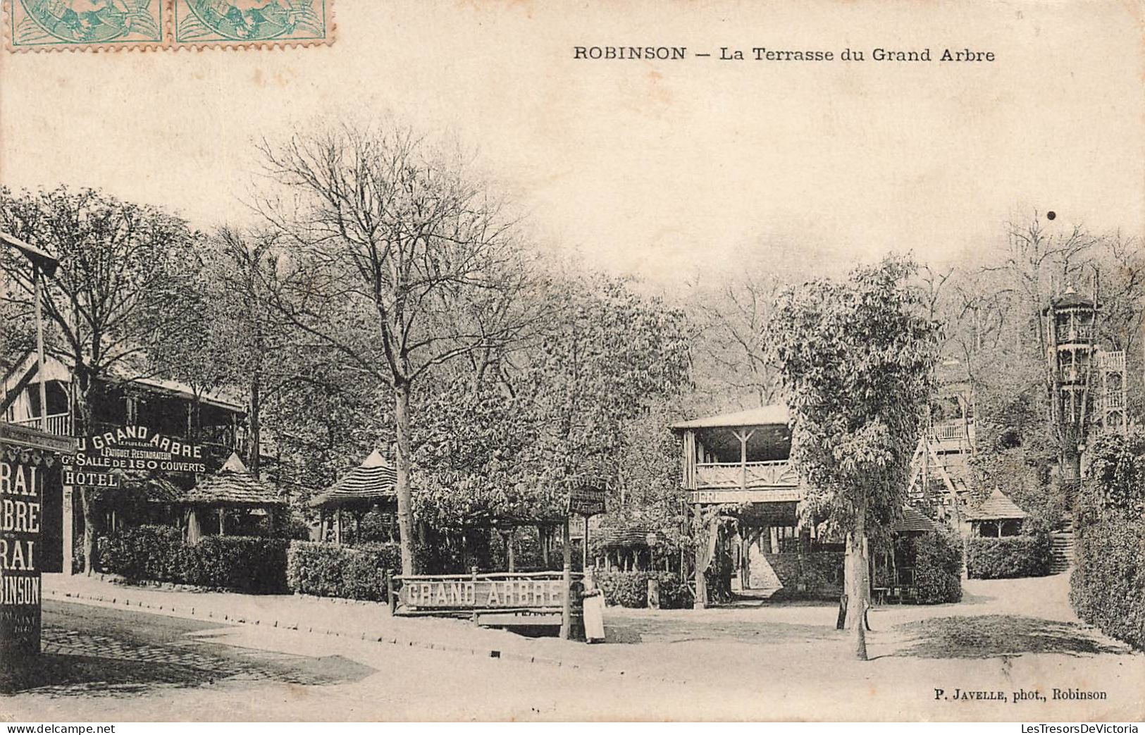 FRANCE - Robinson - La Terrasse Du Grand Arbre - Carte Postale Ancienne - Andere & Zonder Classificatie