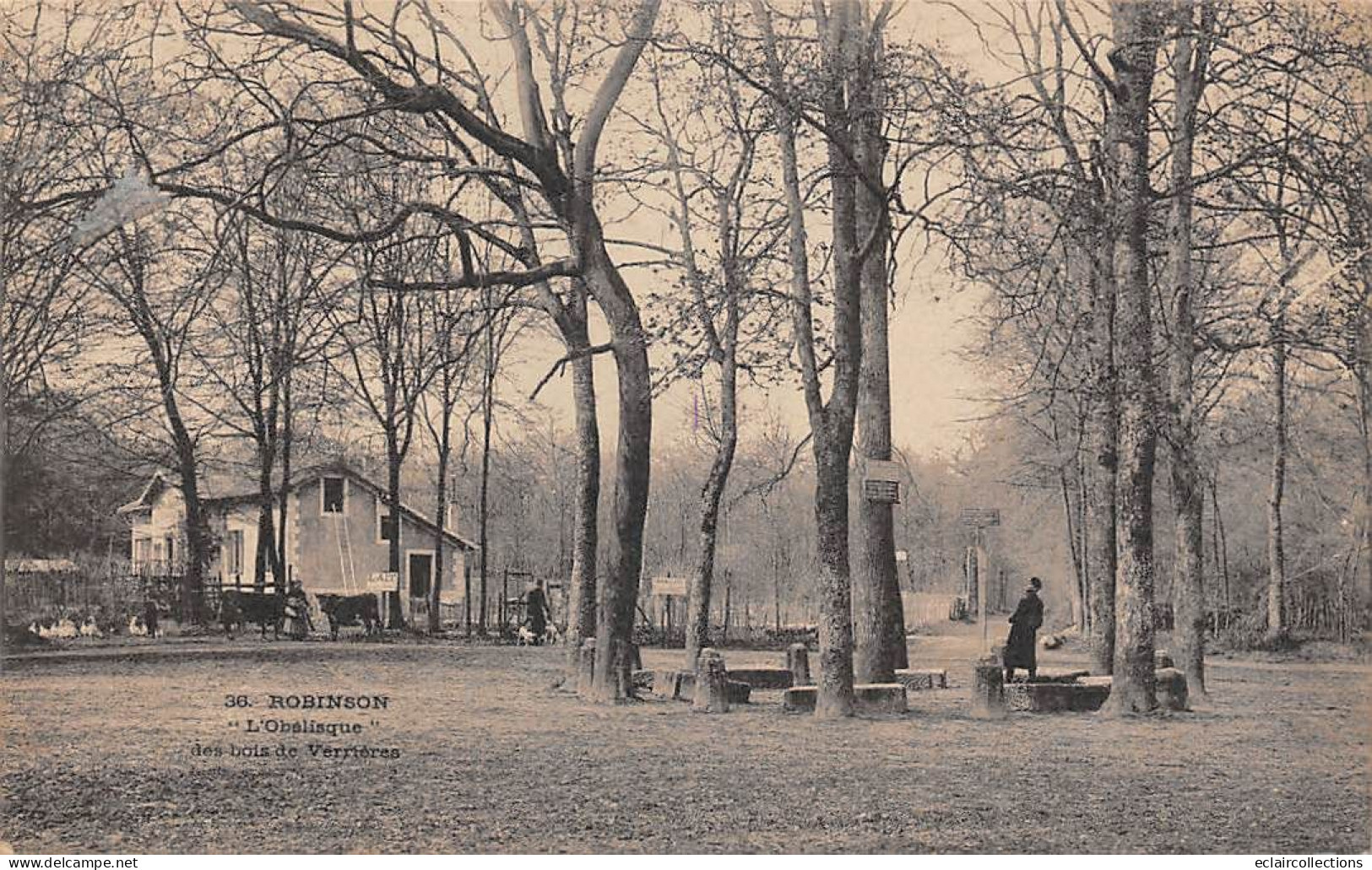 Le Plessis Robinson        92      L'Obélisque Des Bois De Verrières    N° 36   (voir Scan) - Le Plessis Robinson