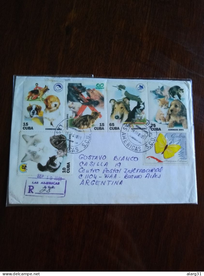 Cat&dogs Reg Letter Cuba/argentina.2001.yv 3927/31 &bfly Phoebis 3448.e8 Reg Post Conmems E 12.5 Cval - Briefe U. Dokumente