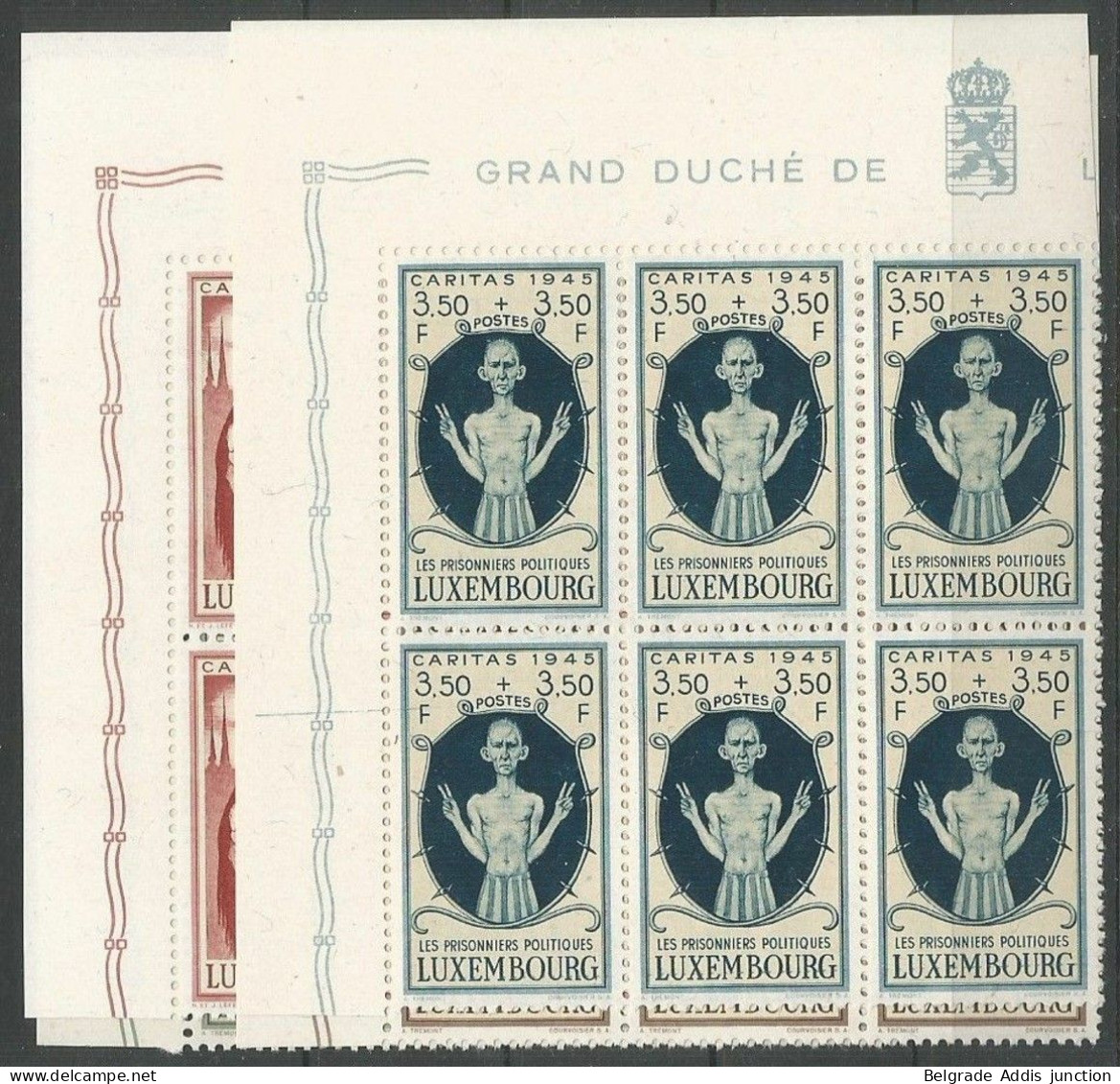 Luxembourg Luxemburg Mi.395/98 En Blocs De 6, Mi.397 Avec Variété Constante Plattenfehler MNH / ** 1945 Caritas - Plaatfouten & Curiosa