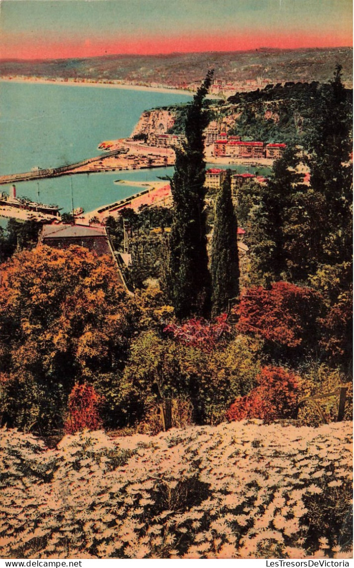 FRANCE - Nice - Vue Générale - Carte Postale - Musea