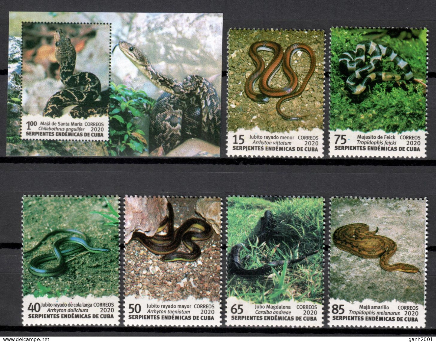 Cuba 2020 / Reptiles Snakes MNH Serpientes Schlangen / Cu20620  C2-3 - Snakes