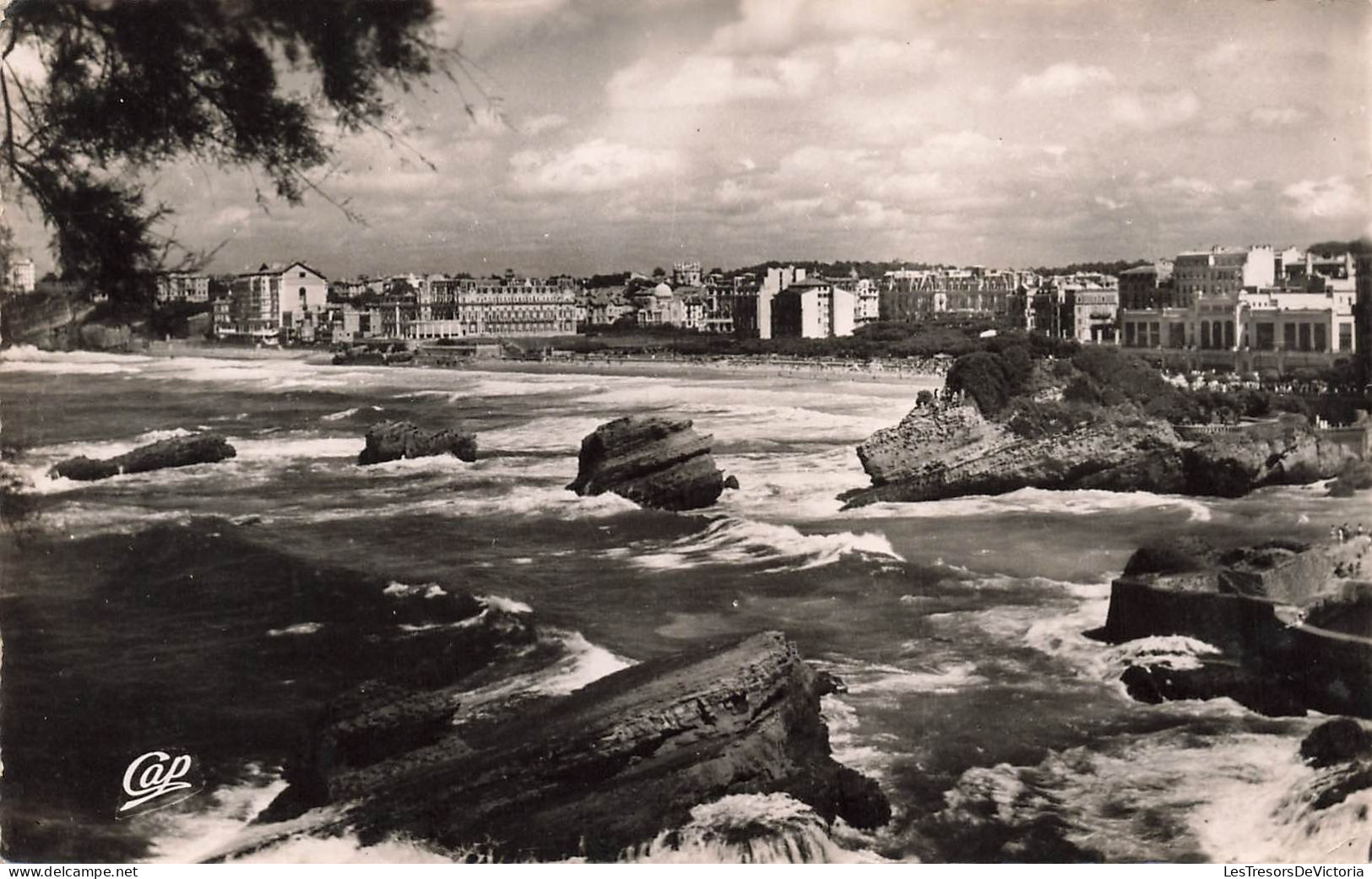 FRANCE - Biarritz - Vue Vers La Grande Plage - Carte Postale Ancienne - Biarritz