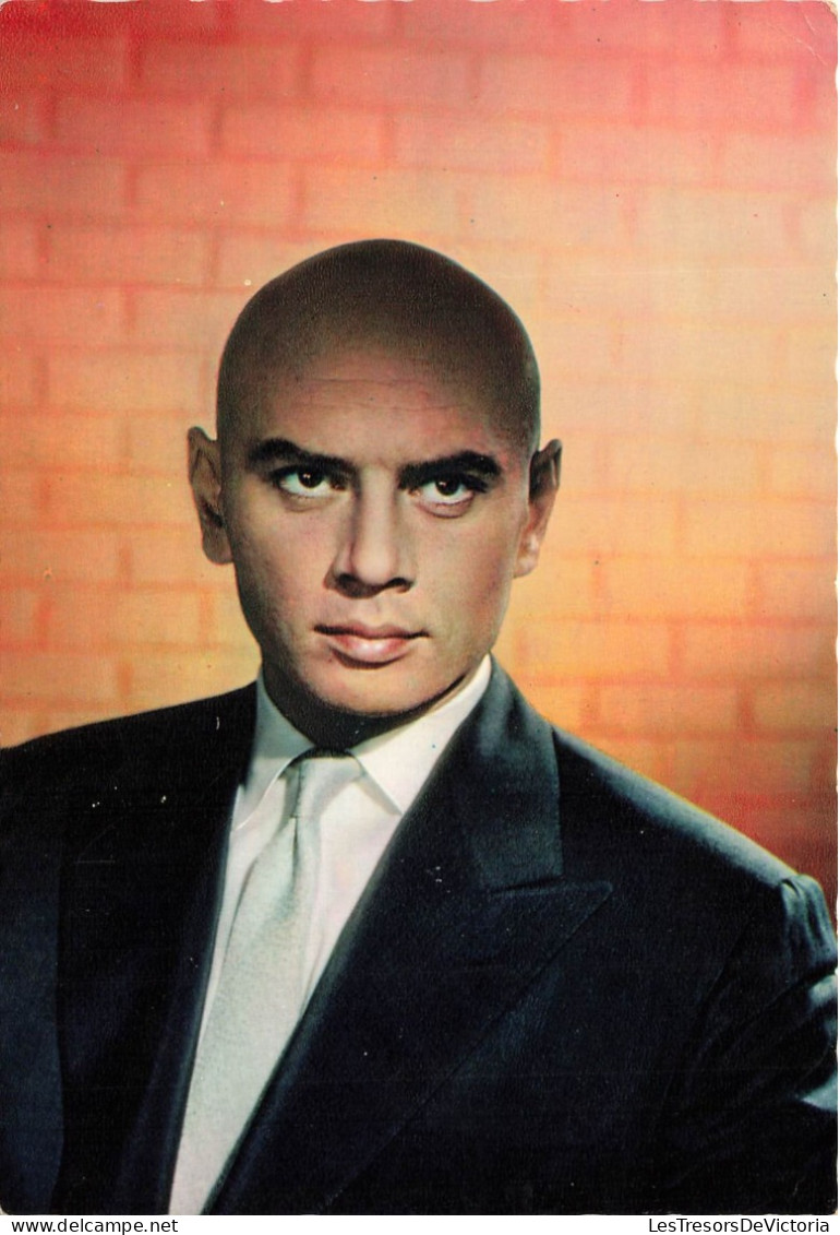 CELEBRITE - Artiste - Yul Brynner - Carte Postale Ancienne - Entertainers