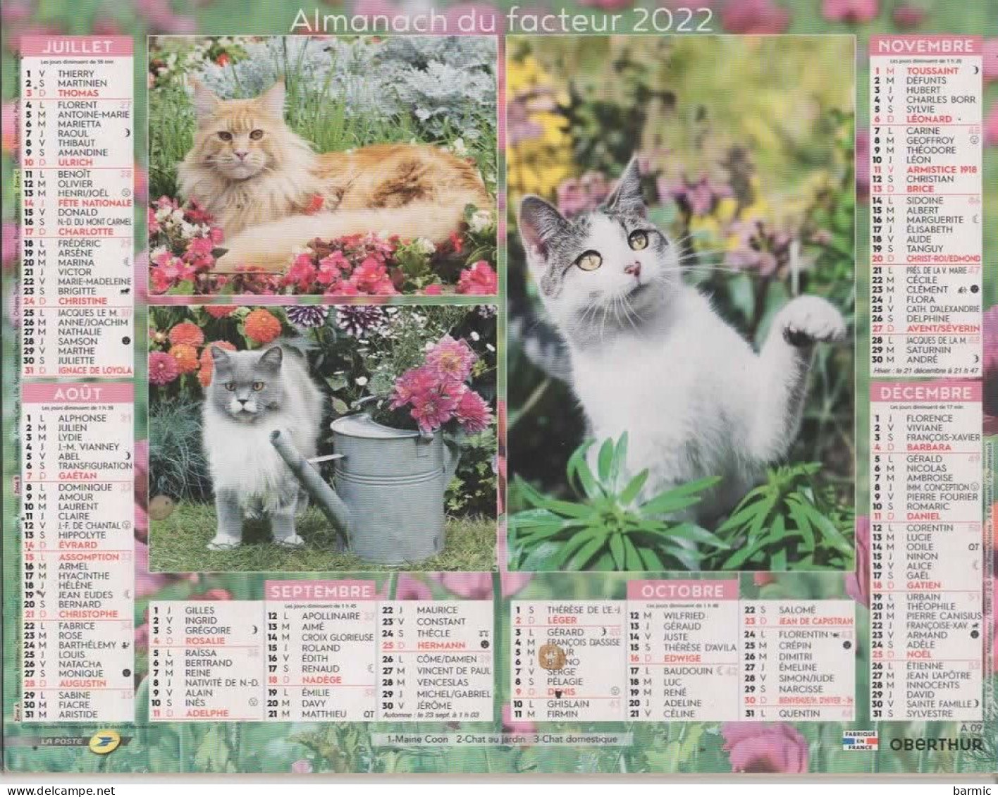 CALENDRIER ANNEE 2022, COMPLET, MULTIVUE, CHATONS COULEUR REF 13887 - Tamaño Grande : 2001-...