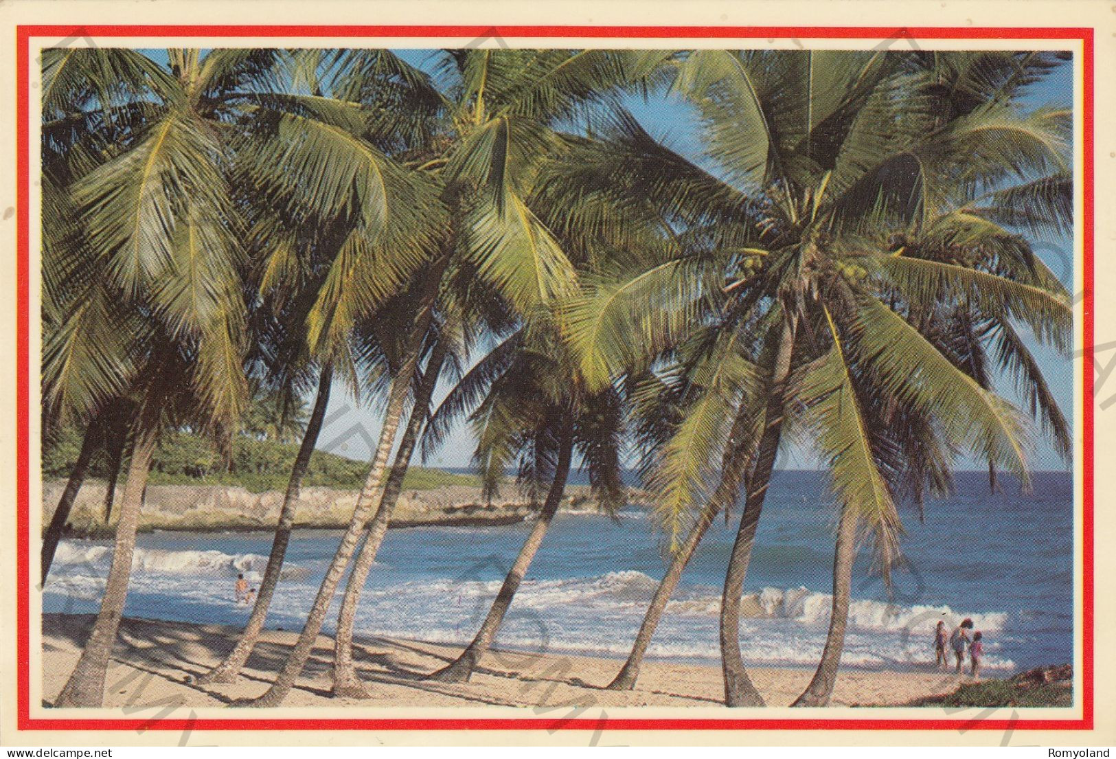 CARTOLINA  SAN PEDRO DE MACORIS,REP.DOMENICANA-PLAYA CARIBE "BEACH"-VIAGGIATA 1992 - Dominique