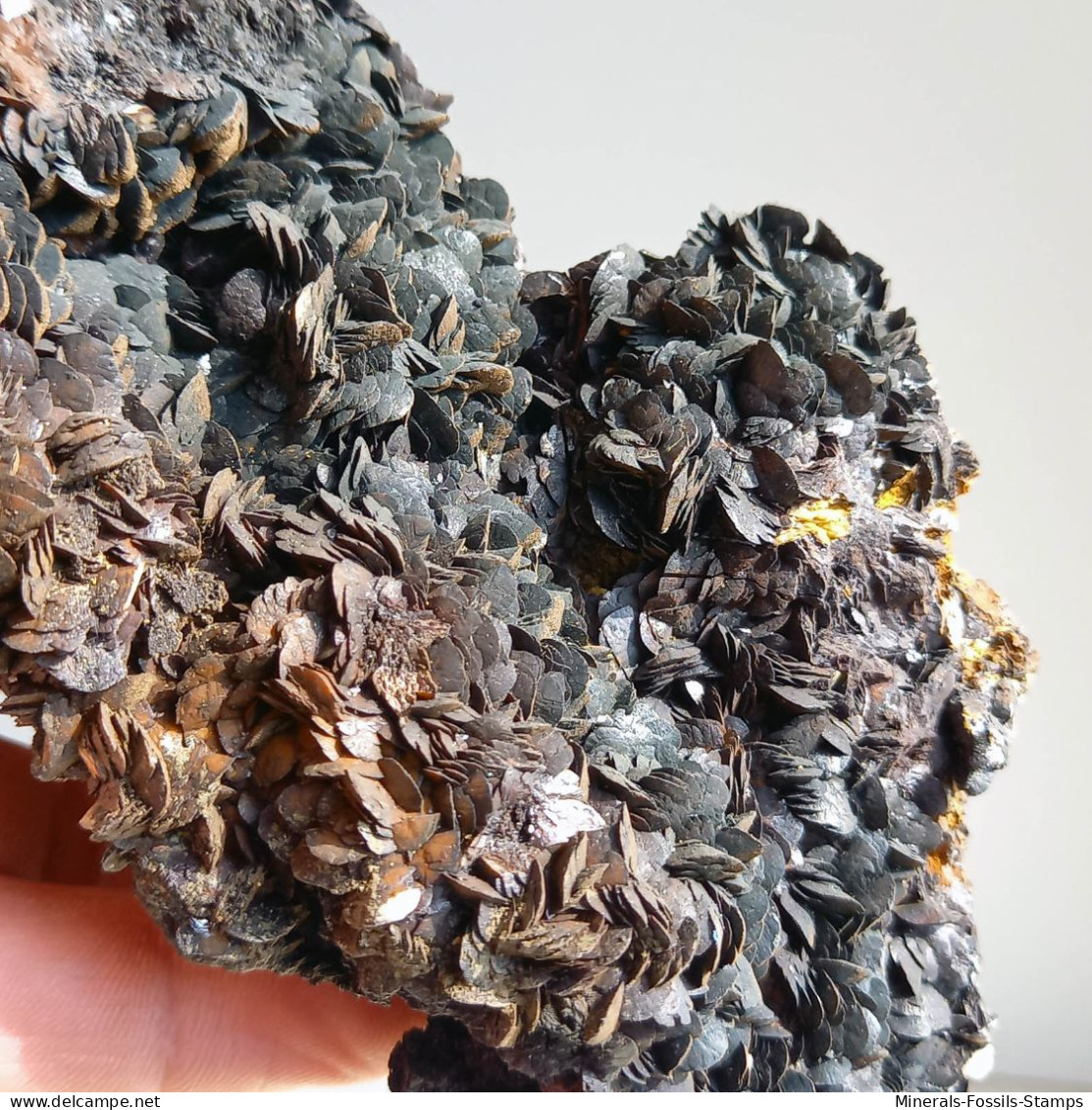 #BRA5.05 Bella SIDERITE cristalli (Brosso Mine, Cavallaria, Piemonte, Italia)