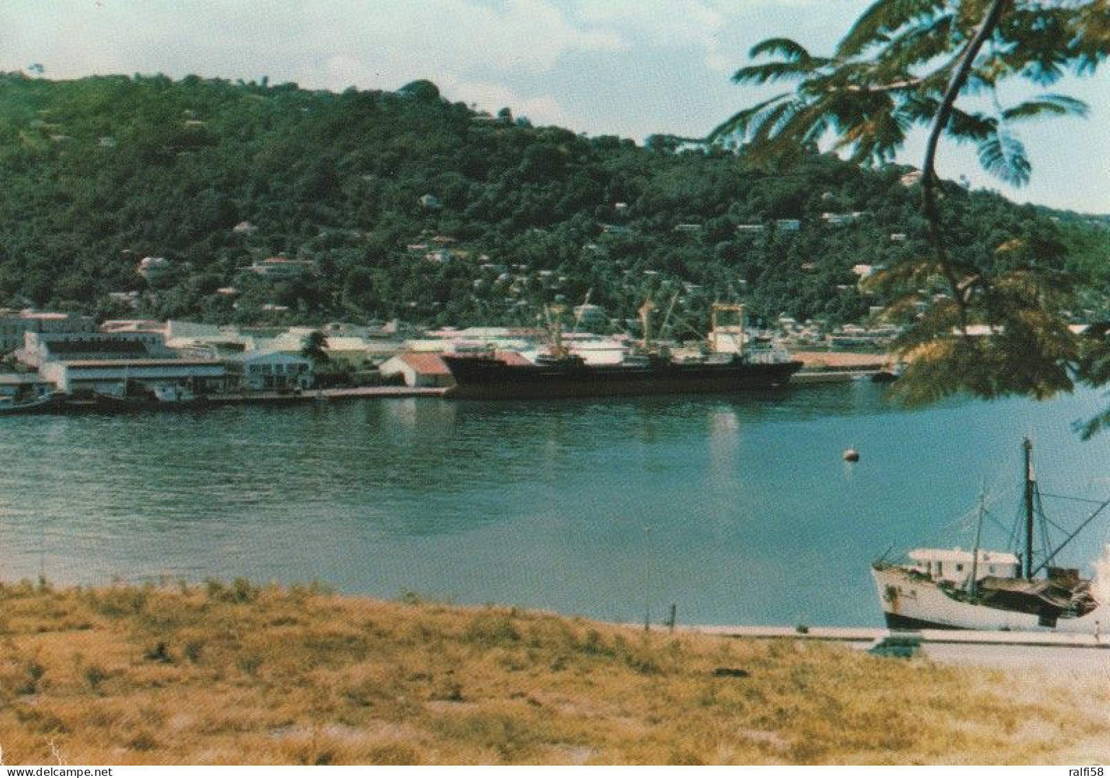 1 AK St. Lucia * MS "Hektor" Im Hafen Von Castries Der Hauptstadt D Karibischen Inselstaats Saint Lucia Siehe Rückseite - Sainte-Lucie