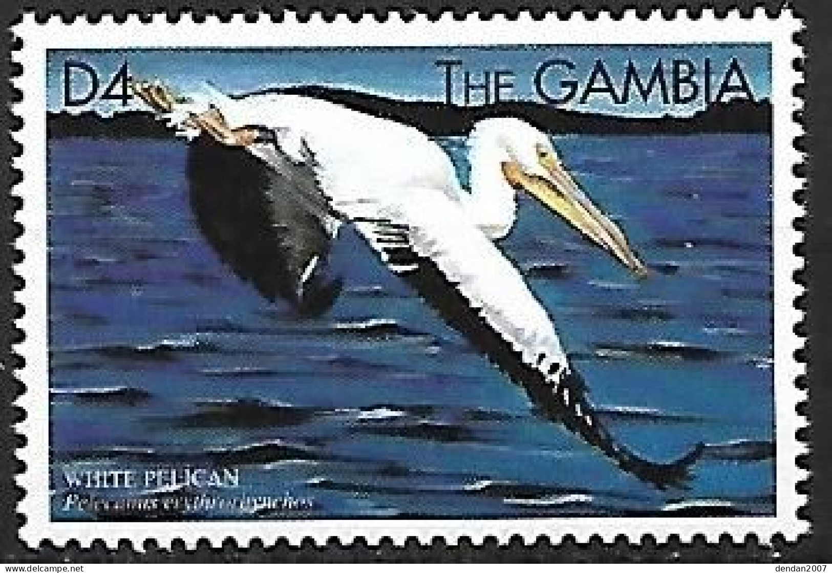 Gambia - MNH ** 1999 : American White Pelican  -  Pelecanus Erythrorhynchos - Pelikanen