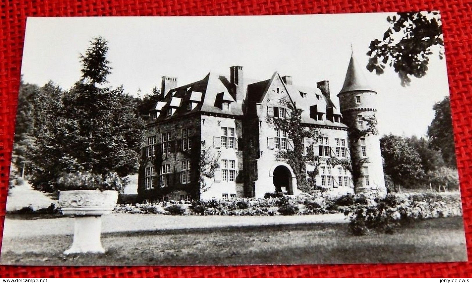 RESTEIGNE SUR LESSE  -   Le Château De Cruckay - Tellin