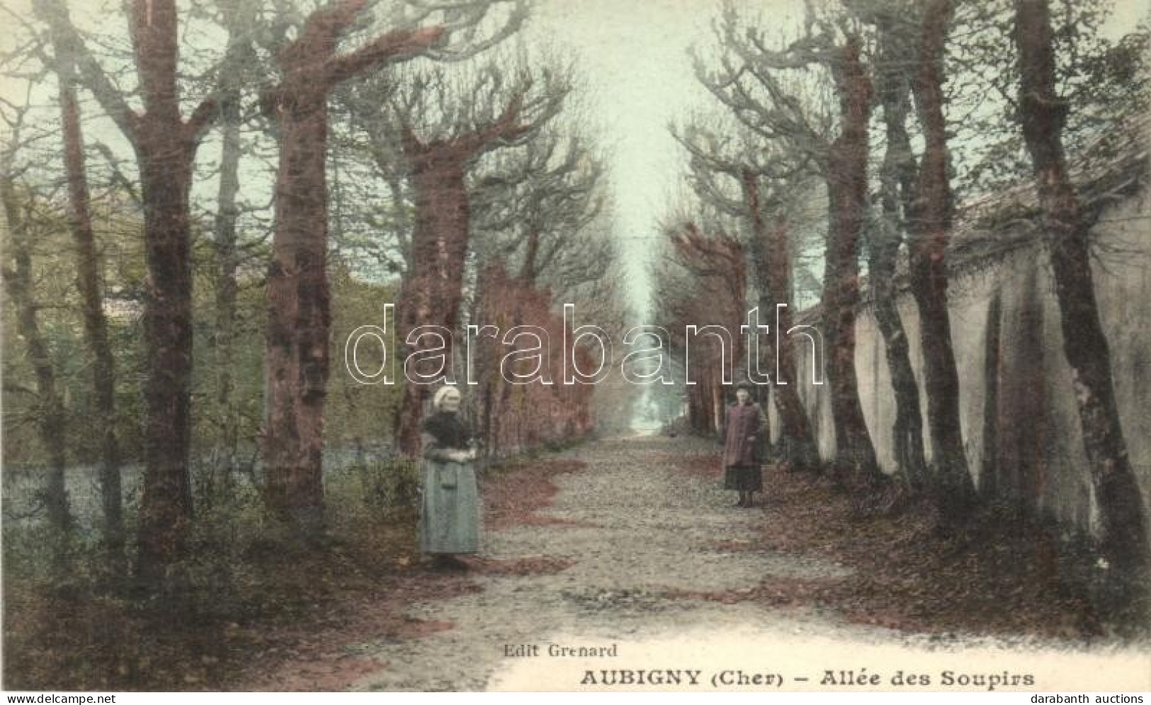 * T2 Aubigny-sur-Nere; Allée De Soupirs / Alley - Non Classés