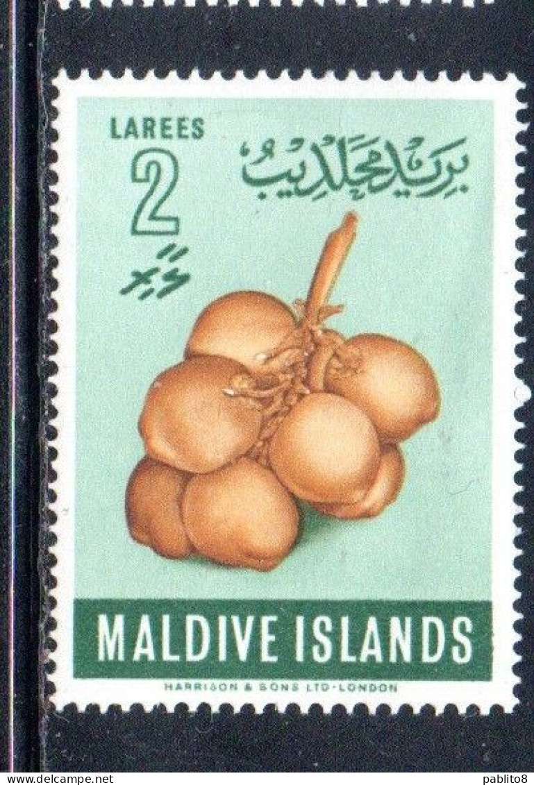 MALDIVES ISLANDS ISOLE MALDIVE BRITISH PROTECTORATE 1961 COCONUTS FRUITS LAREES 2L MNH - Maldives (...-1965)