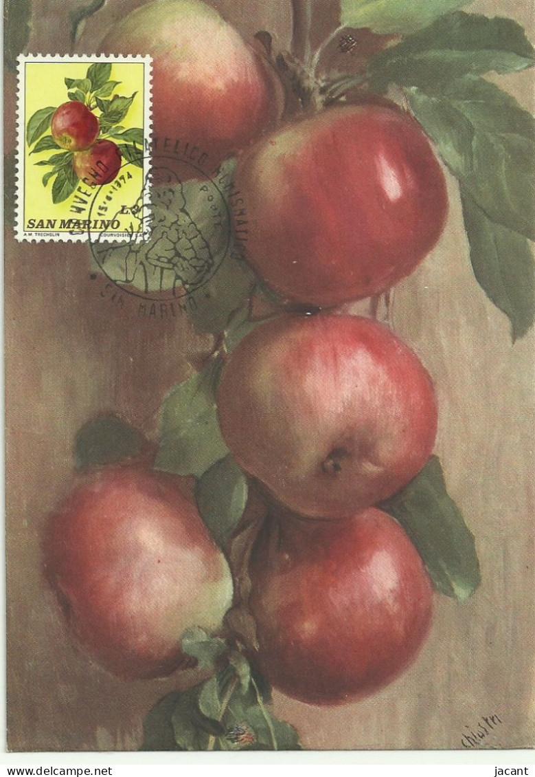 Cartes Maximum - San Marino - Fruits - Mele - Apples - Pommes - Maças - Cartas & Documentos