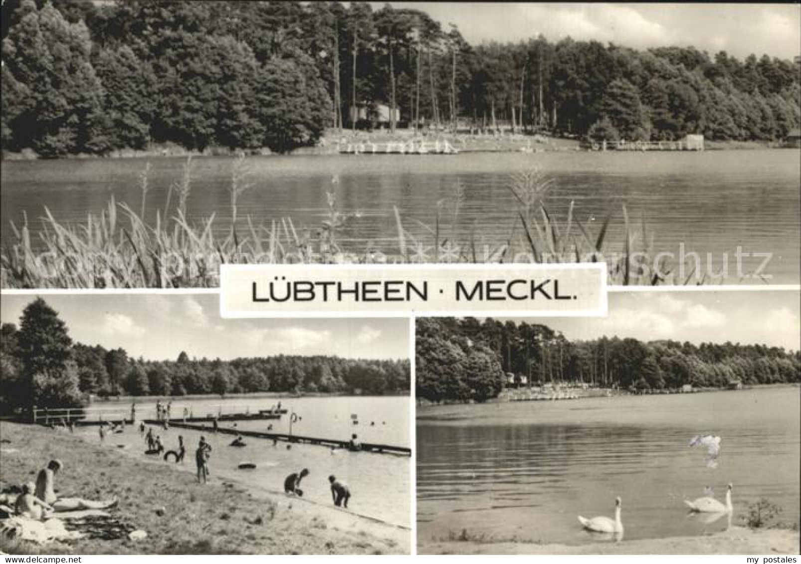 72330550 Luebtheen Uferpartie Am See Badestrand Schwaene Luebtheen - Lübtheen