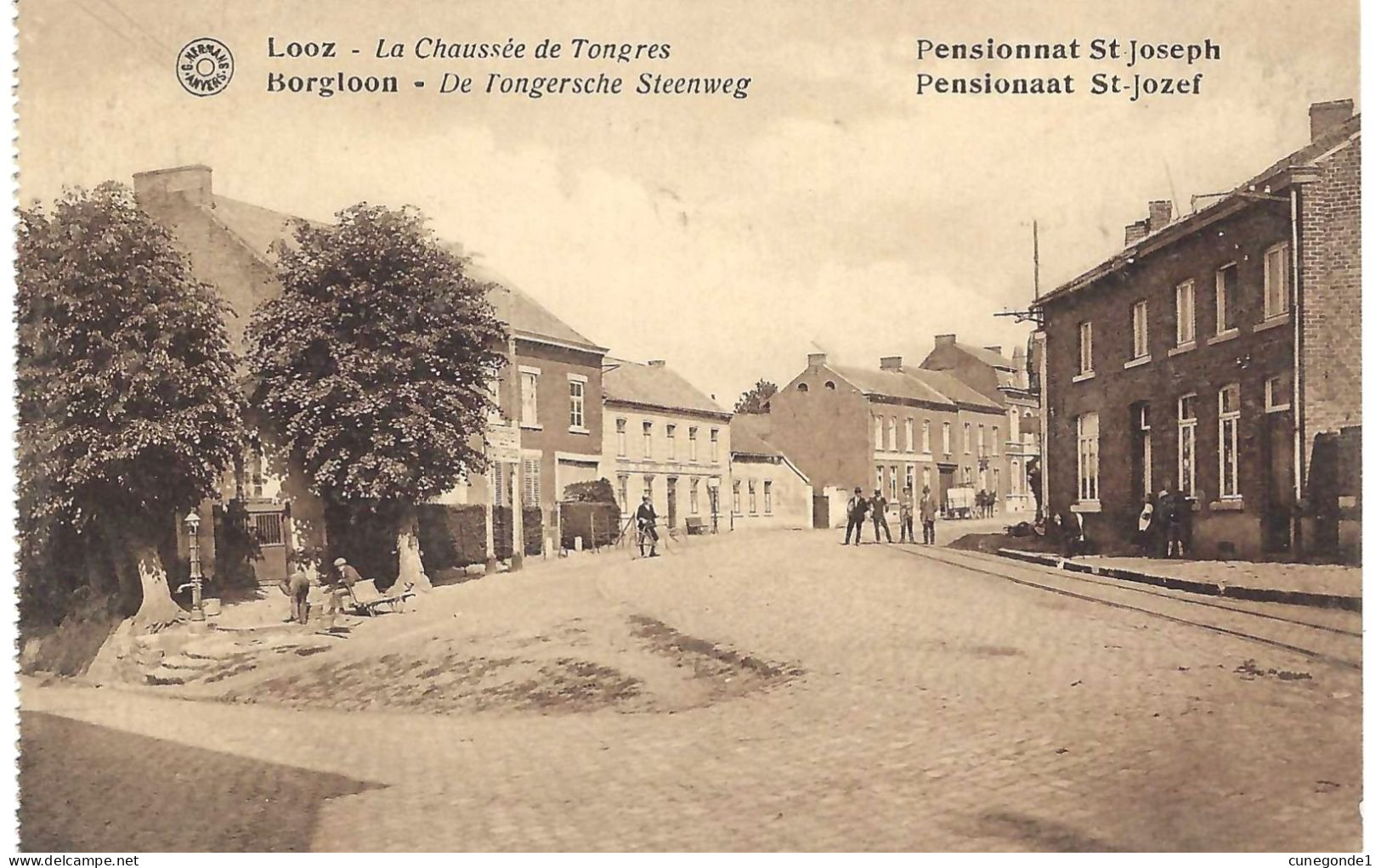 BORGLOON / LOOZ : De Tongersche Steenweg / Chaussée De Tongres - Pensionnat St Jozef - Geanimeerd & Niet Gelopen - Borgloon