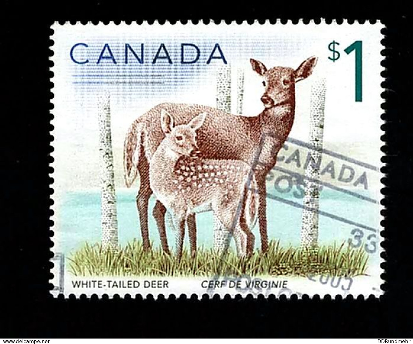 2005 Deer Michel CA 2299 Stamp Number CA 1688 Yvert Et Tellier CA 2182 Stanley Gibbons CA 1757 Used - Usati