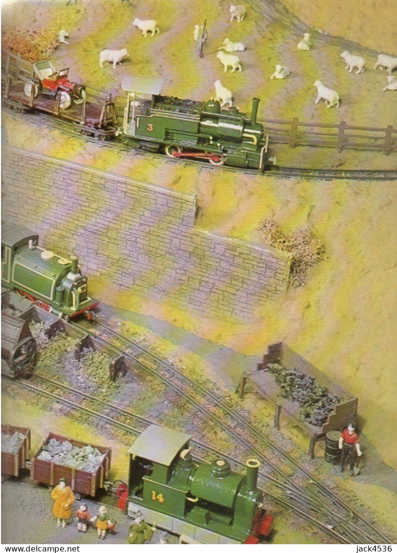 Histoire Illustrée Des TRAINS MINIATURES - Editions PRINCESSE - 192 Pages - Ferrovie & Tranvie