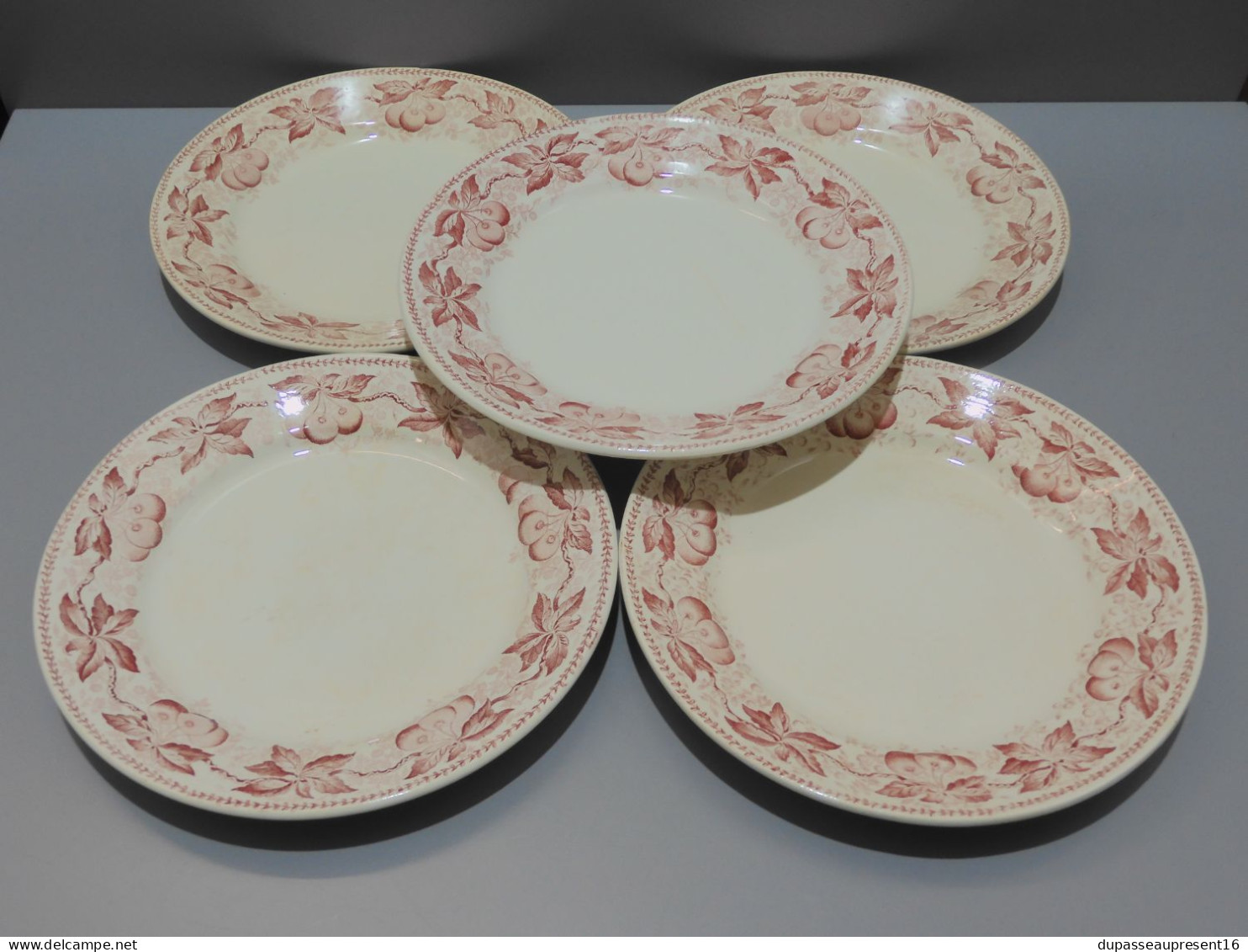 -5 ASSIETTES PLATES DEMI PORCELAINE BADONVILLER Modèle CERISES Table  E - Badonviller (FRA)