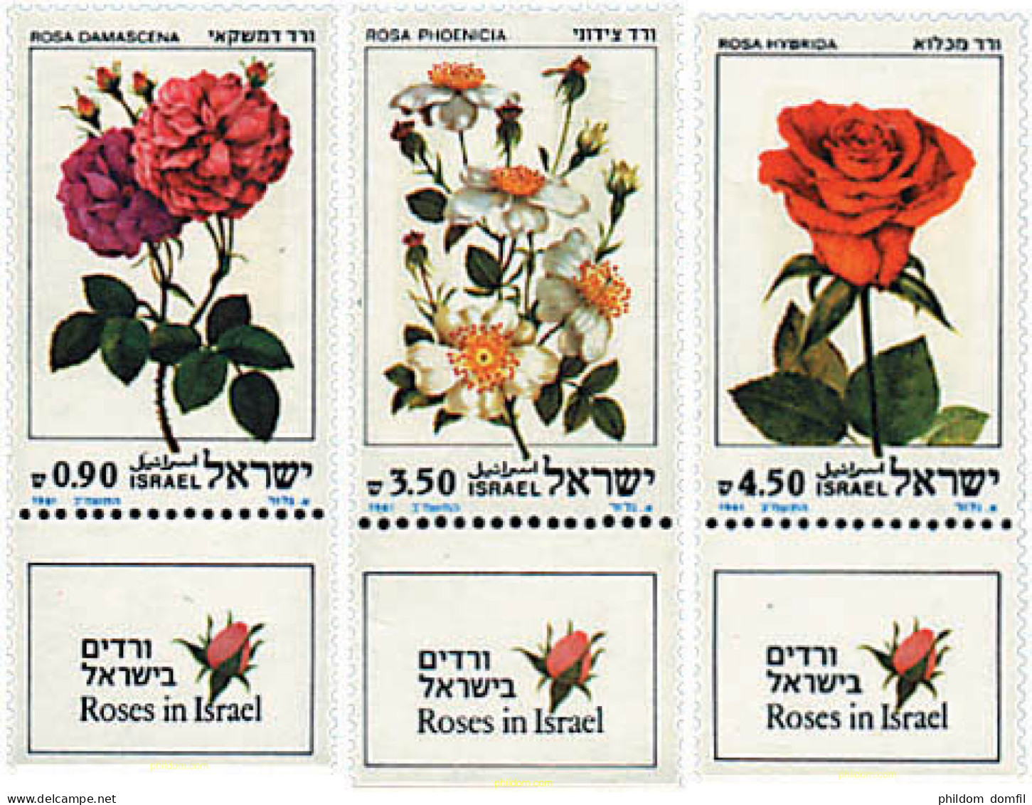 328278 MNH ISRAEL 1981 ROSAS DE ISRAEL - Ungebraucht (ohne Tabs)