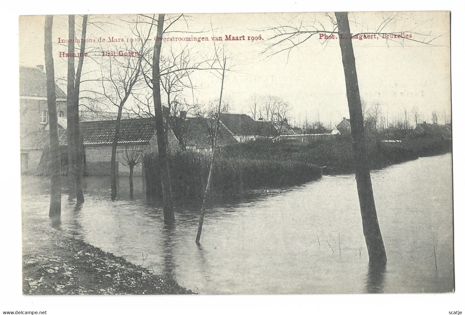 Hamme.   -   (Drij Goten).   Overstroming Van Maart 1906 - Hamme