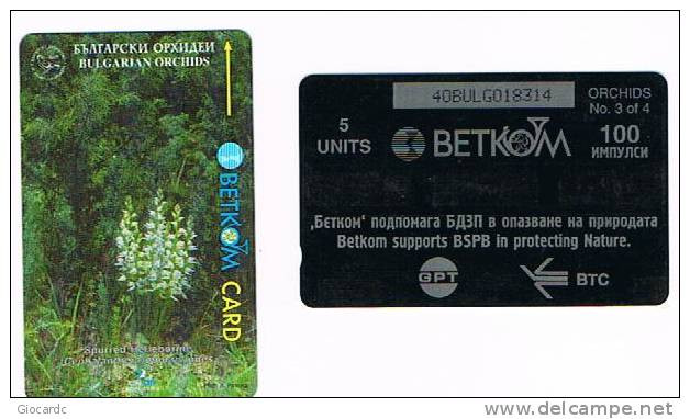 BULGARIA - GPT - BETKOM 1996 FIORI  : SPURRED HELLEBORINE  (CEPHALANTHERA EPIPACTOIDES) - CODE 40BULG - USED - RIF. 7520 - Fleurs