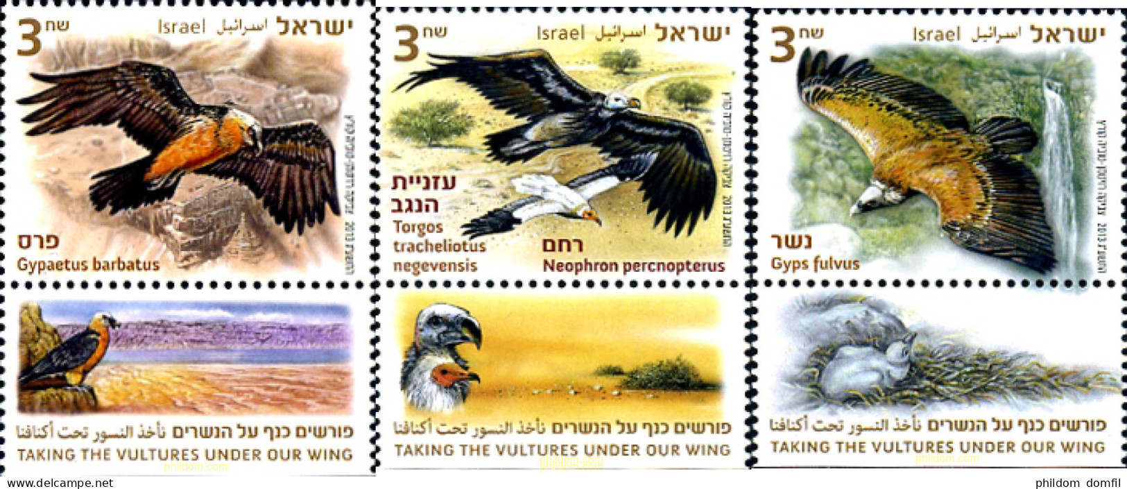 329287 MNH ISRAEL 2013 FAUNA - BUITRES - Ungebraucht (ohne Tabs)