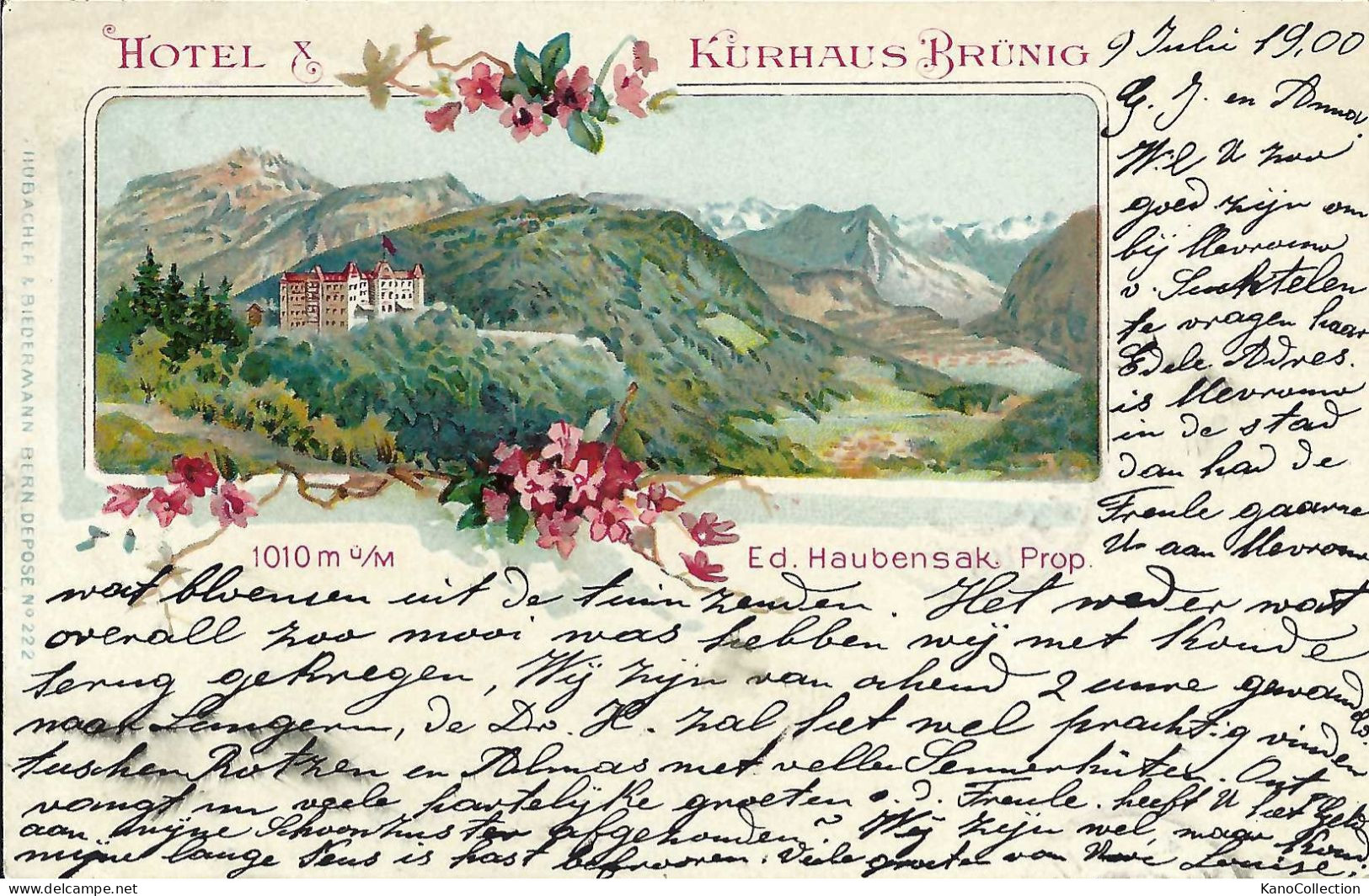 Hotel & Kurhaus Brünig, Gelaufen 1900 - Hotels & Restaurants