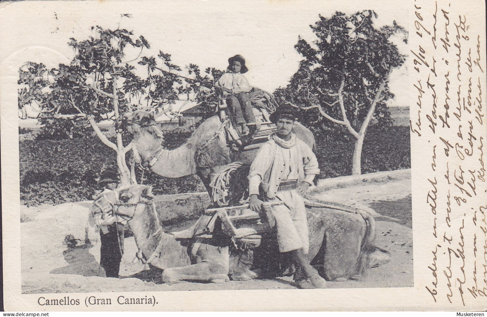 Spain PPC Camellos Camels (Gran Canaria) Seepoststempel SOUTHAMPTON SHIP LETTER 1905 Denmark Edw. VII. - Cartas & Documentos