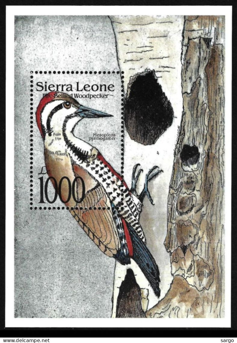 SIERRA LEONE  - 1992 - BIRDS - UCCELLI - 1 V -  MNH -  WOODPECKER - Climbing Birds