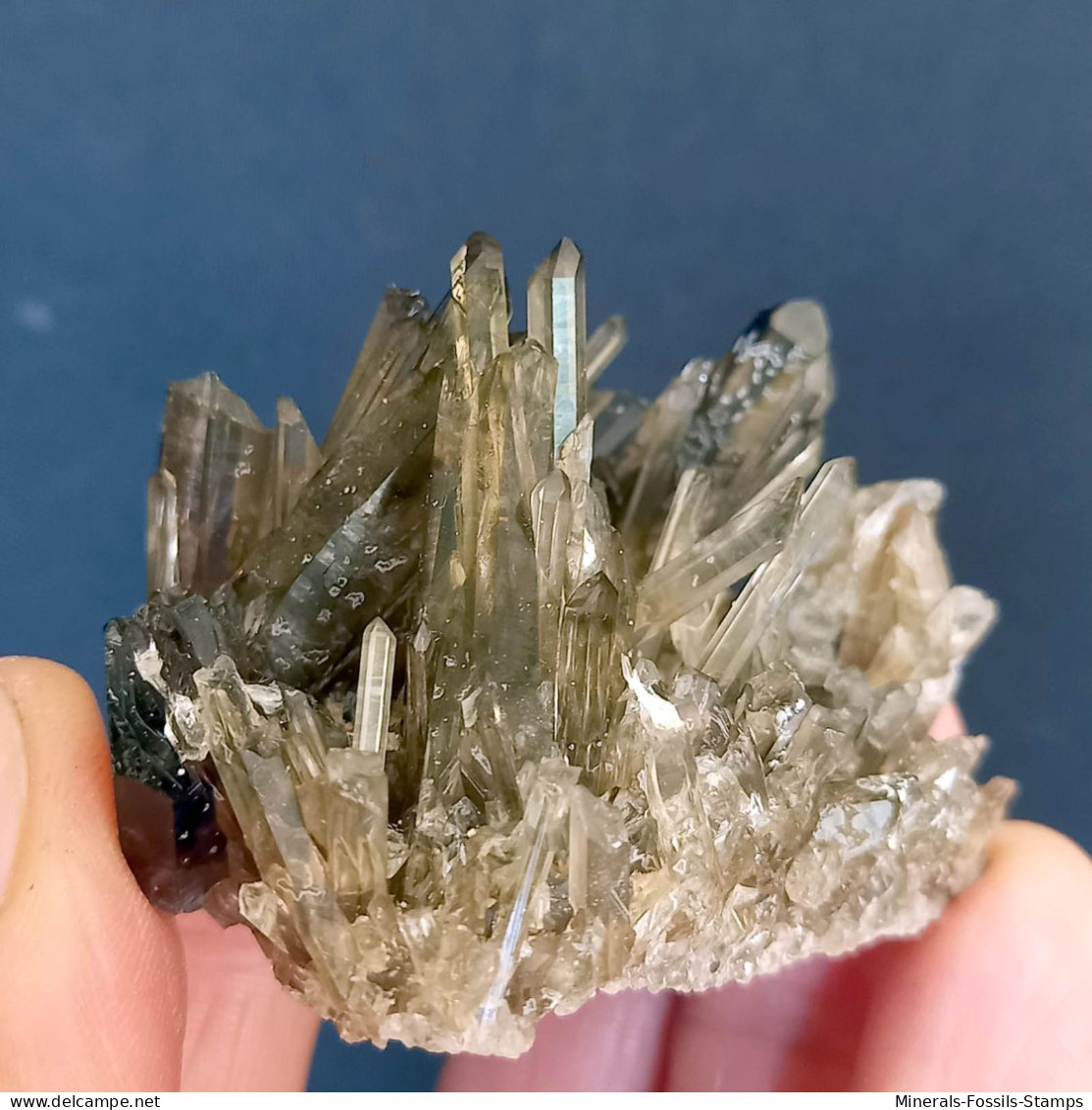 #15 - Beaux Cristaux De QUARTZ MORIONE (Kara-Oba W Deposit, Moiynkum, Jambyl Region, Kazakhstan) - Minerals